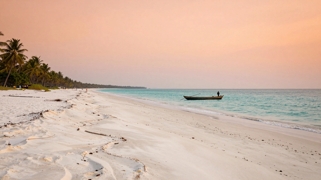 Best Beach in India: Which One Truly Stands Out?