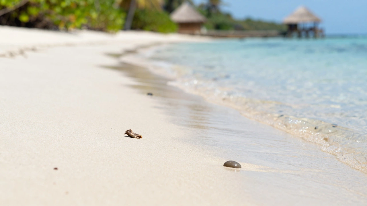 Close-up of fine golden sand and clear shallow water at Palolem Beach